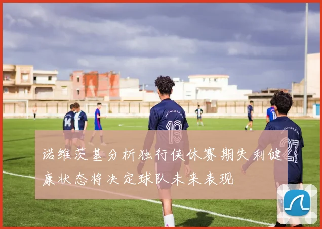 诺维茨基分析独行侠休赛期失利健康状态将决定球队未来表现