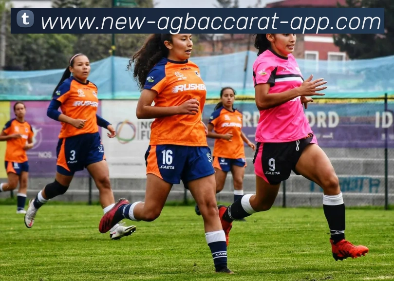 AG百家乐平台生态图