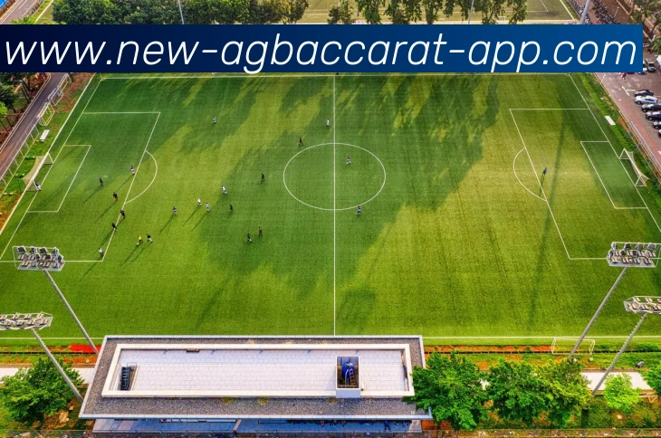 App 展示图